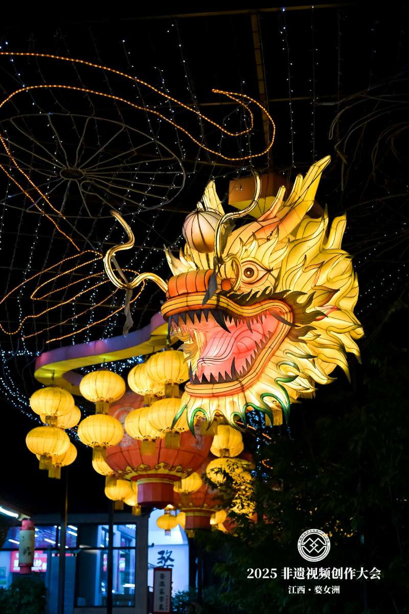 DSC2753